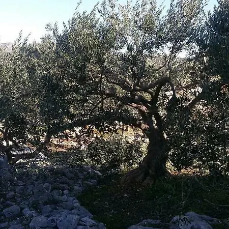 Apartamento Mali Sjor